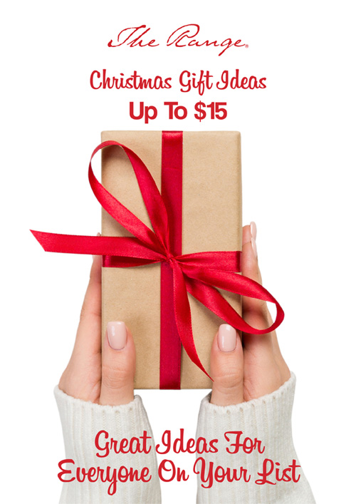 Christmas Gift Ideas - Up to $15