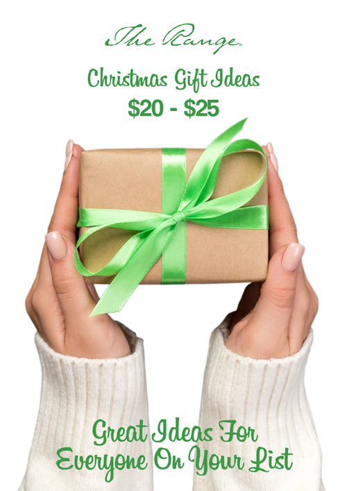 Christmas Gift Ideas - $20 to $25